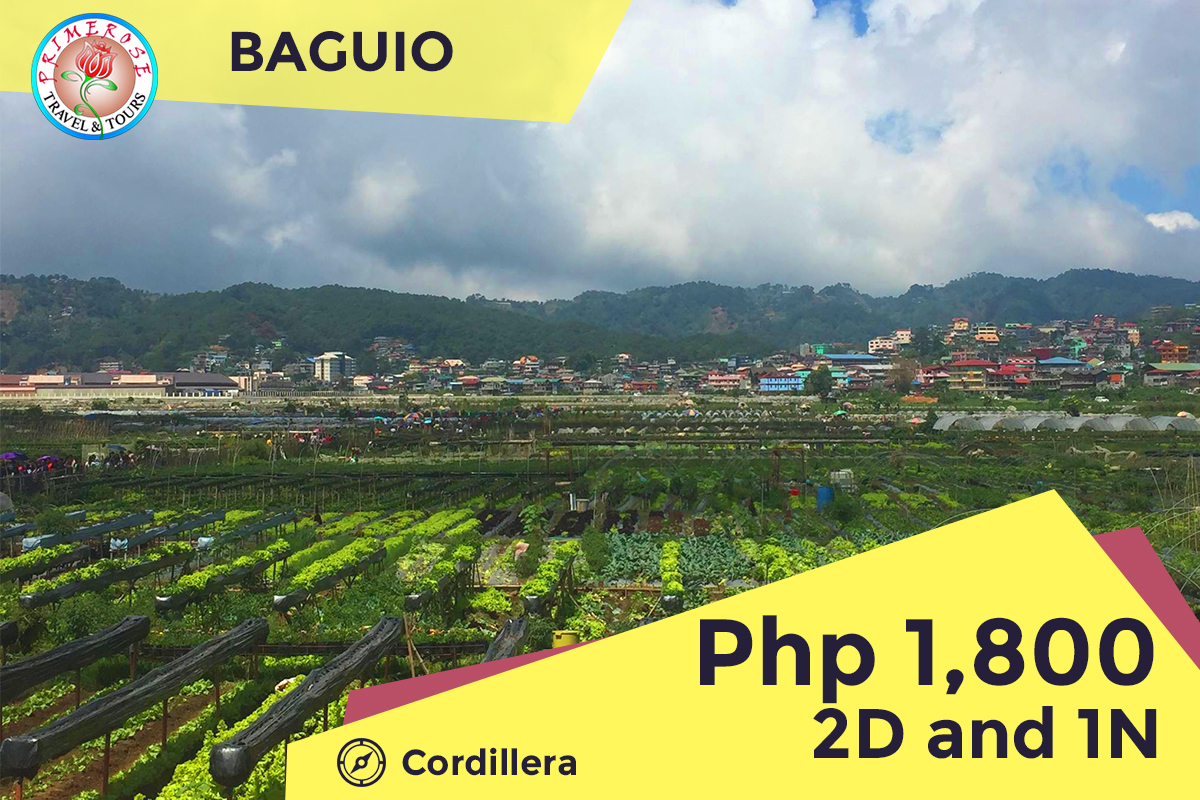 BAGUIO TOUR PACKAGE Primerose Travel and Tours