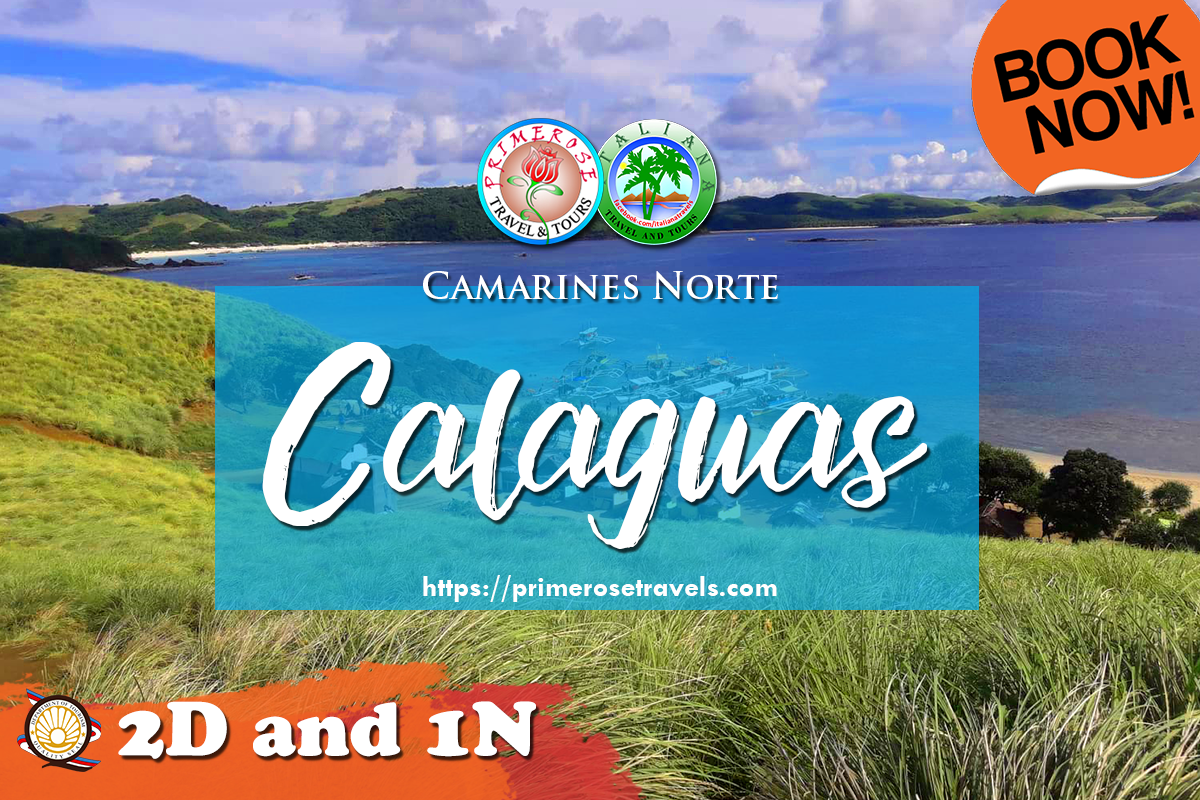 calaguas beach tour package